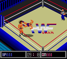 Fire Pro Wrestling Gaiden (GS).png (5040 bytes)