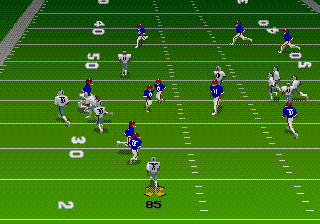 Madden NFL 95 (GS).png (6664 bytes)