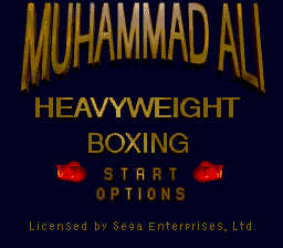 Muhammad Ali Heavyweight Boxing (SS).png (7401 bytes)