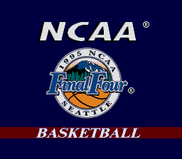 NCAA Final Four Basketball (SS).png (5416 bytes)