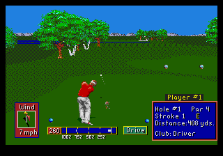 PGA Tour Golf 2 (GS).png (6735 bytes)