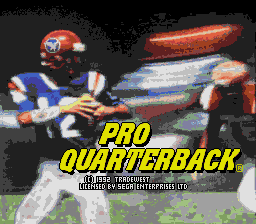 Pro Quarterback (SS).png (12756 bytes)