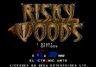 Risky Woods (SS).png (9612 bytes)