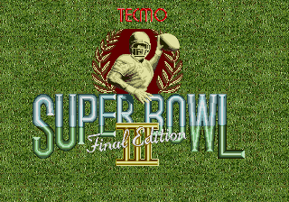 Tecmo Super Bowl 3 - Final Edition (SS).png (16055 bytes)