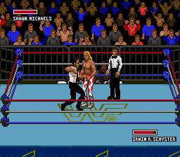 WWF Super Wrestlemania (GS).png (8683 bytes)